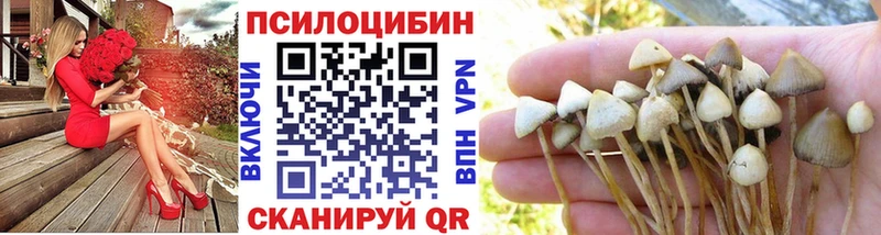 купить наркотики цена  это официальный сайт  Псилоцибиновые грибы мухоморы  Феодосия 